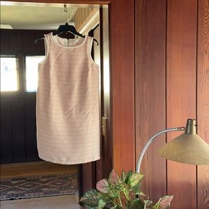Max Studio pink 1960s style mini shift dress!